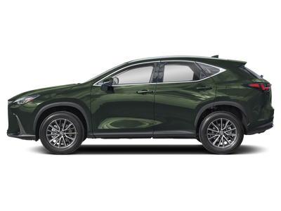 2024 Lexus NX 250 Premium