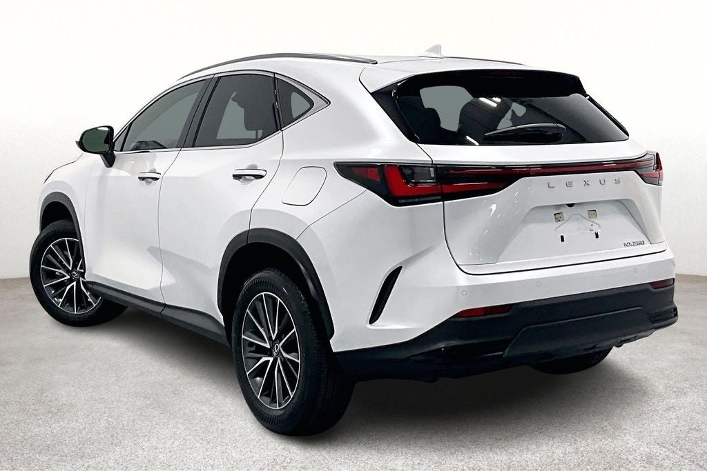 2025 Lexus NX 250 Premium