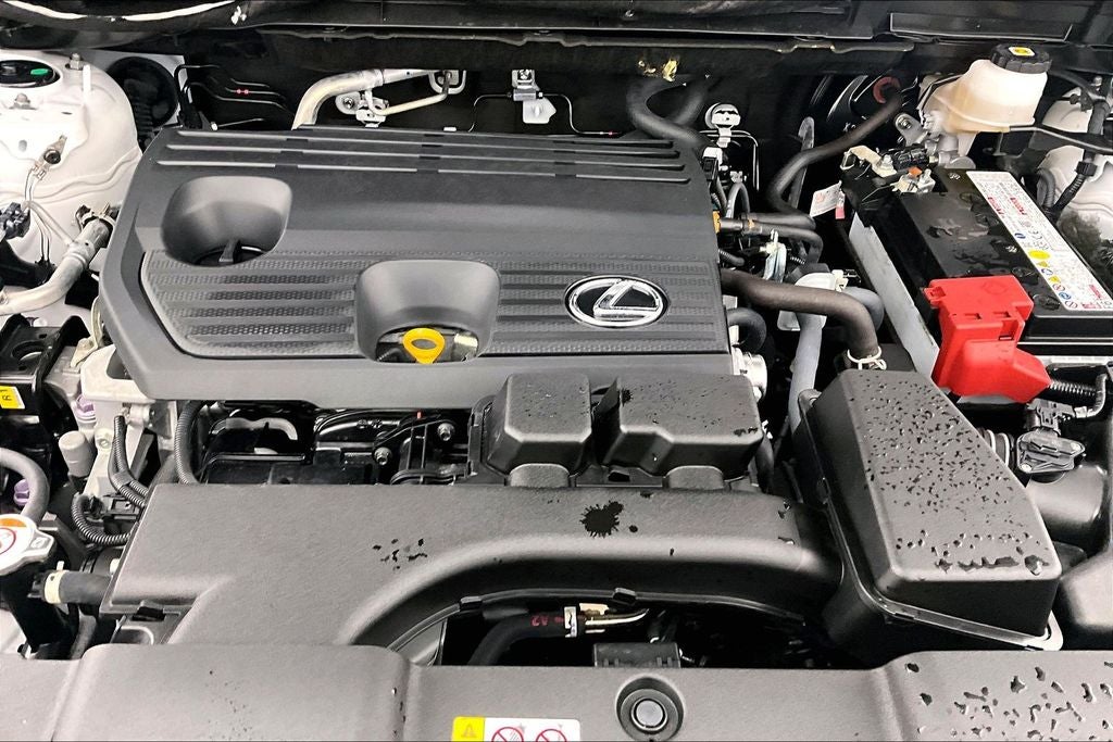 2025 Lexus NX 250 Premium