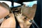 2026 BMW 4 Series 430i