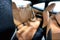 2026 BMW 4 Series 430i