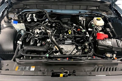 2023 Ford Bronco Everglades