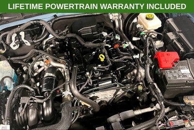 2023 Ford Bronco Everglades